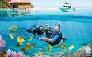 PADI Open Water Diver leer nu duiken