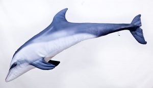 Dolfijn stoffen kussen